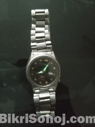 Citizen watch